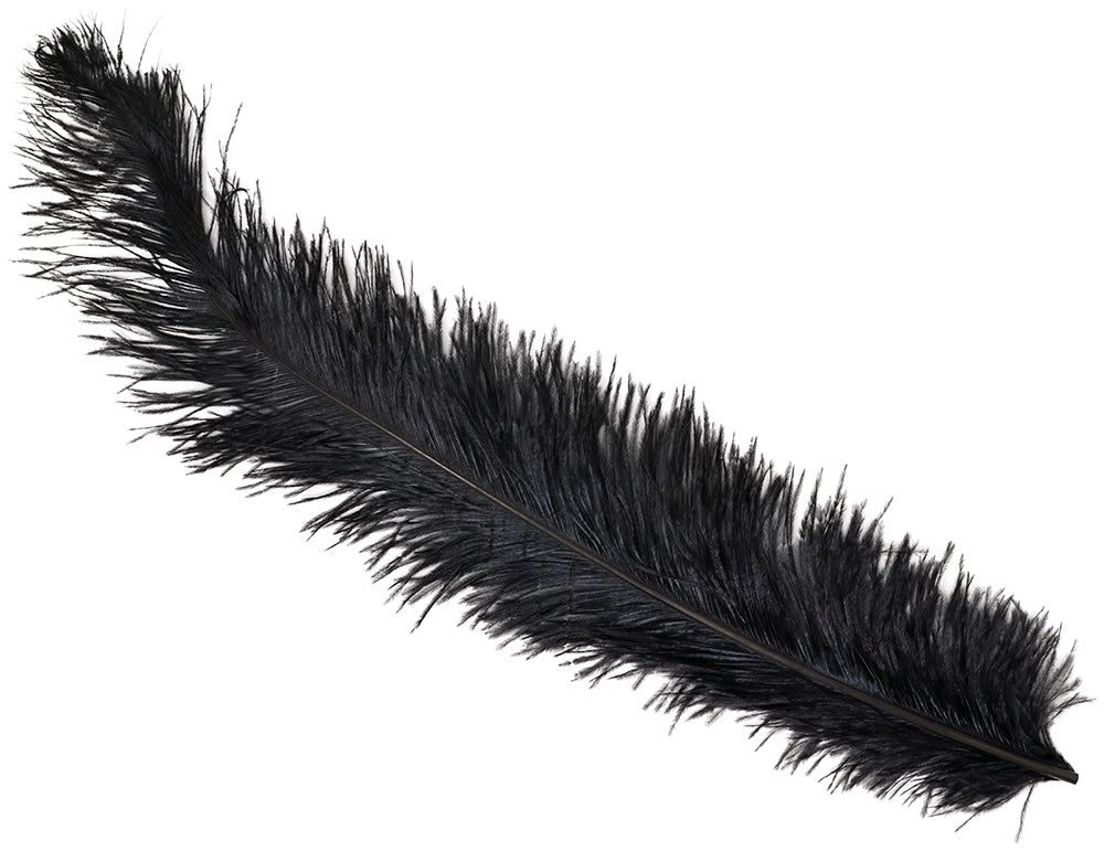 BAG 12 OSTRICH FEATHER GIANT 50 CMS.