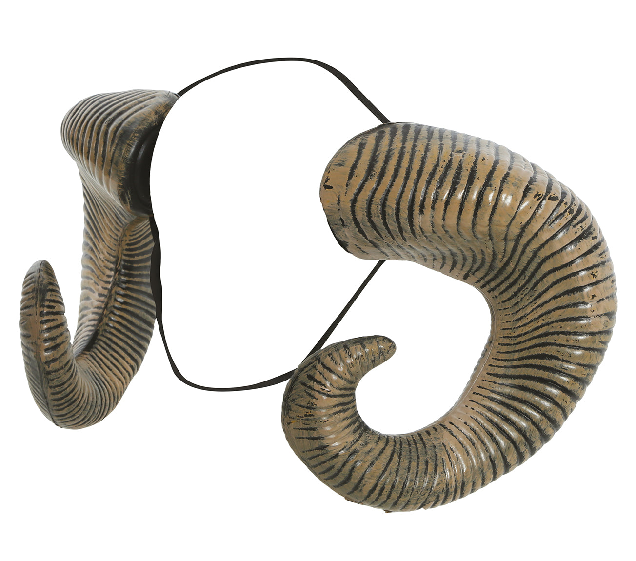 FAUN HORNS