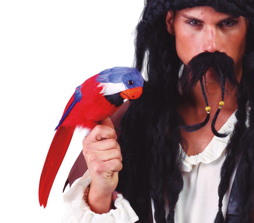 PARROT,         36 CM