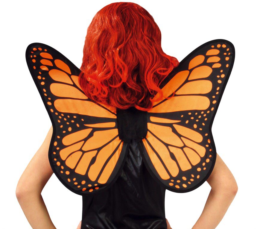 BUTTERFLY WINGS, 57 X 50 CM