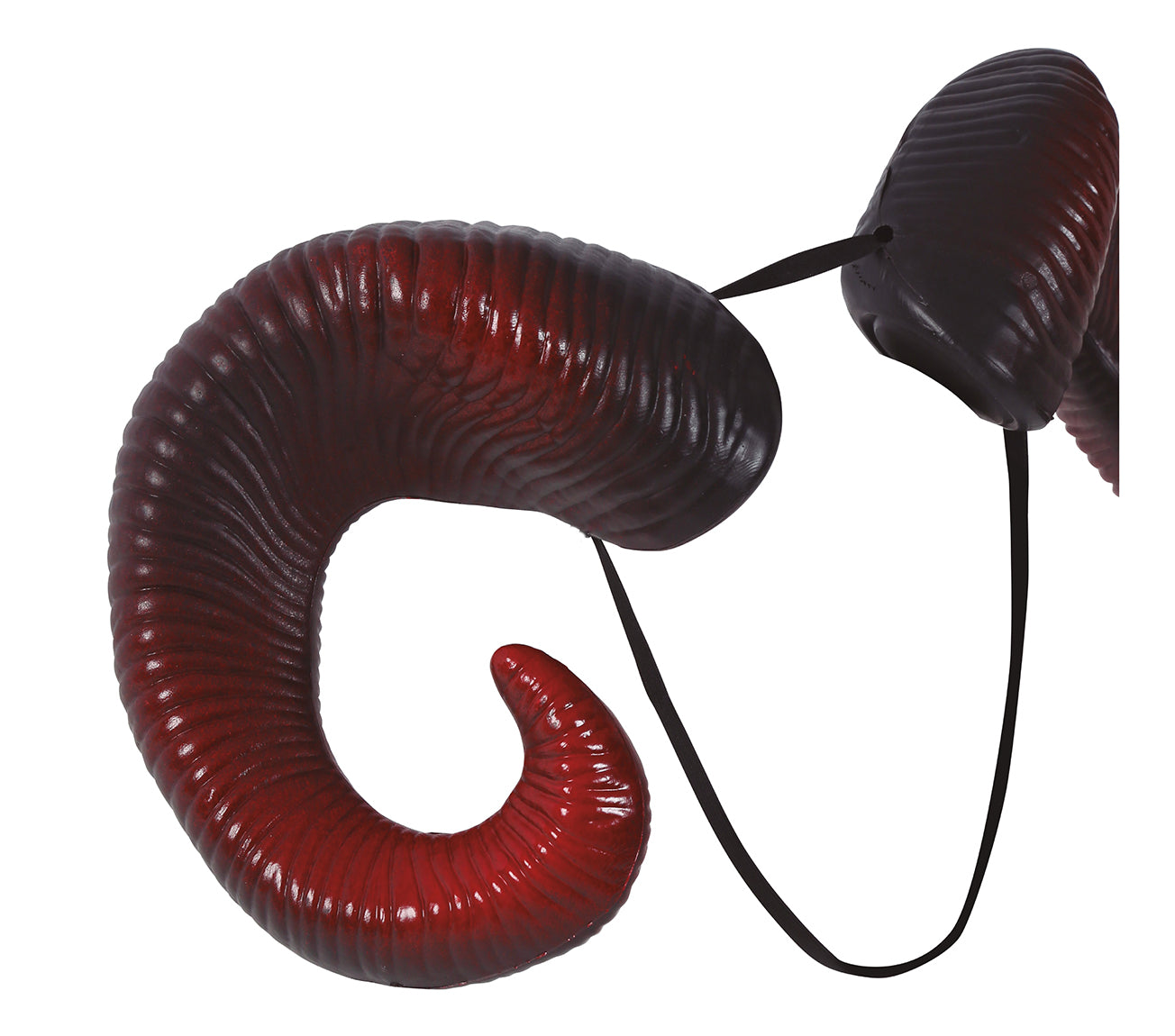 RAMS HORNS, PCV