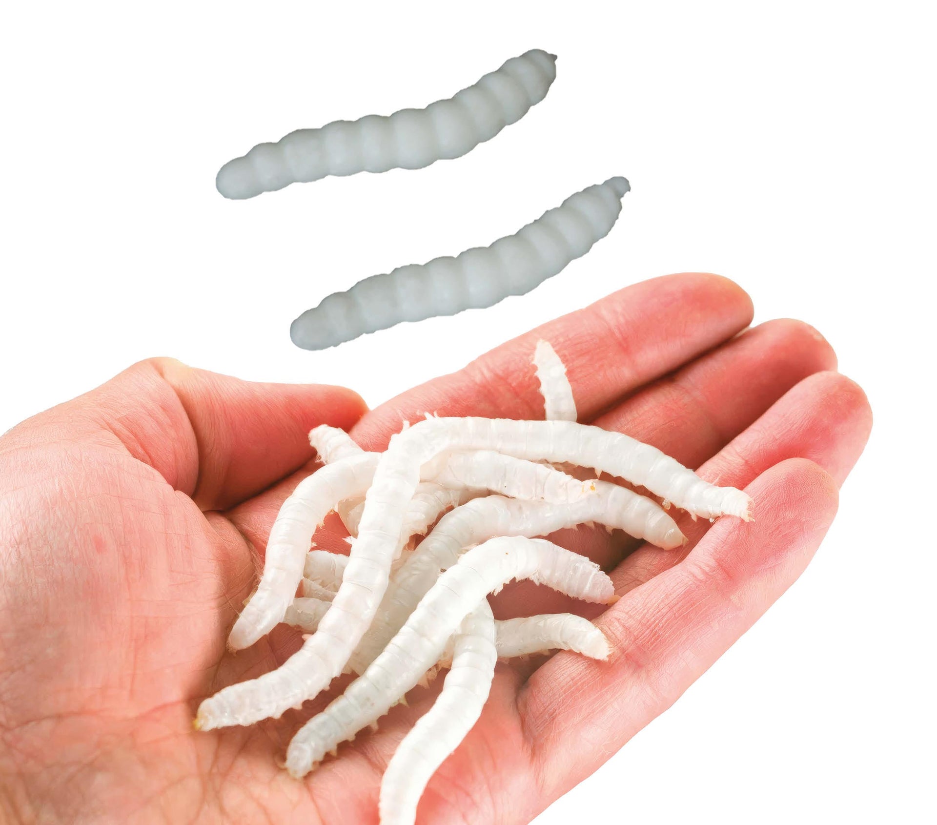 BLISTER PACK 20 ELASTIC WORMS 4 CMS