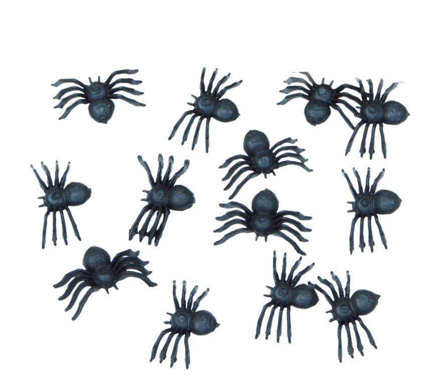 BAG: 70 SPIDERS