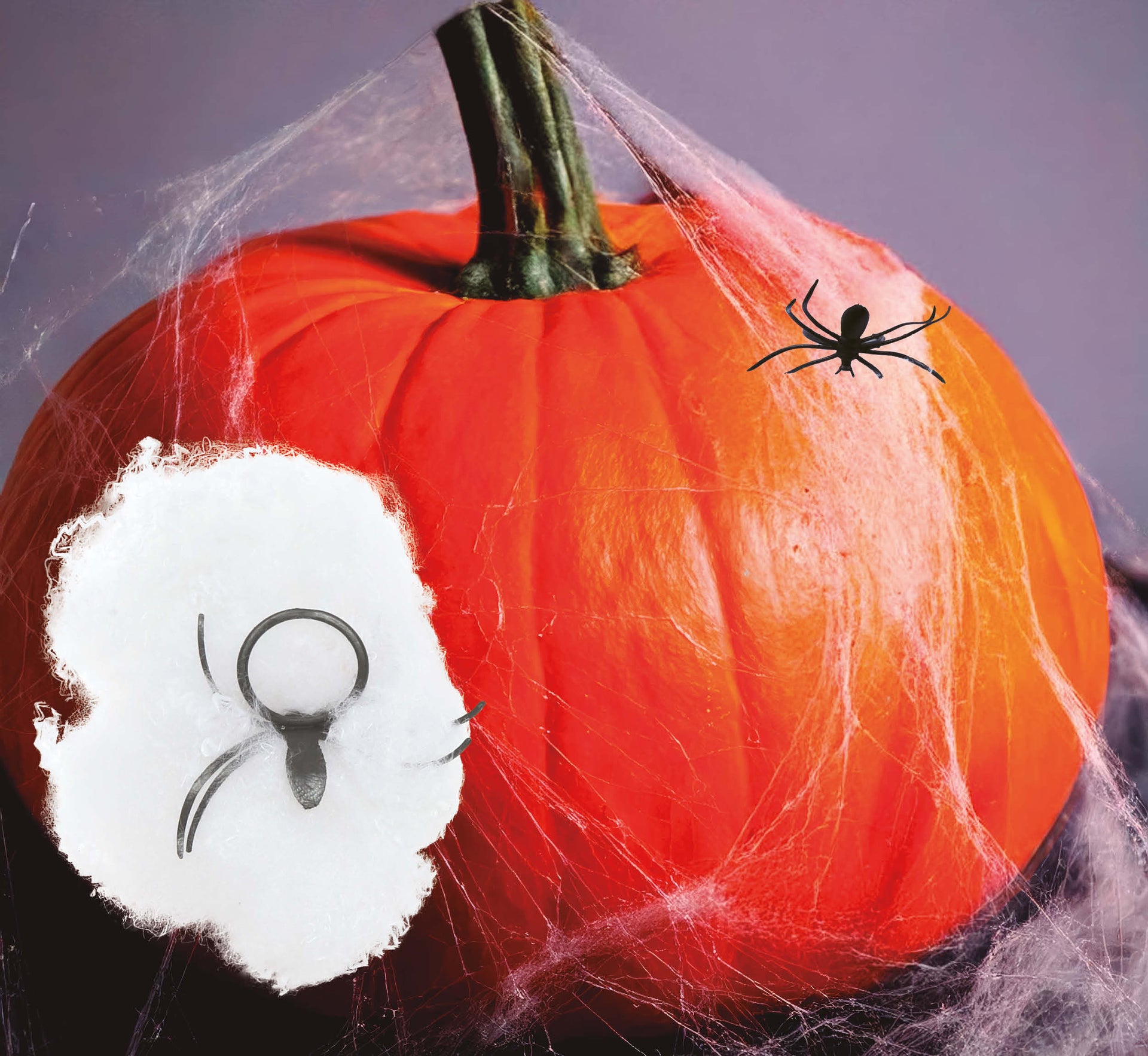 BAG: 12 COBWEBS, 12 GRAM