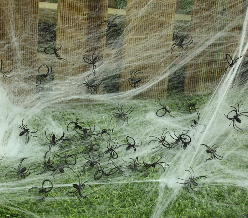 BAG: 50 SPIDERS