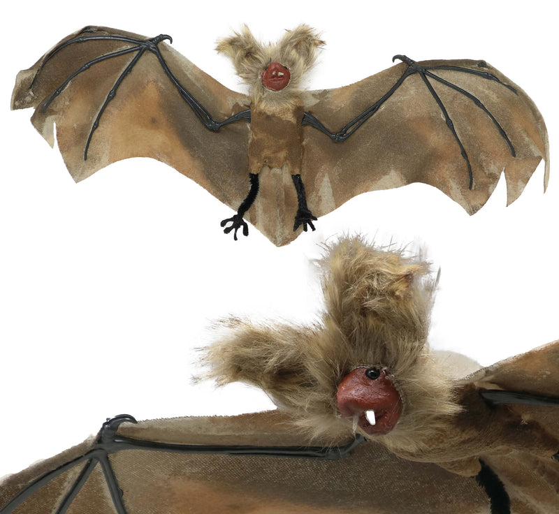 60 CM BAT