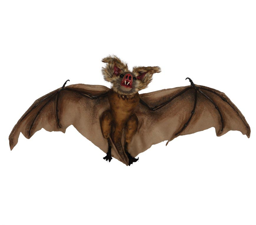 60 CM BAT