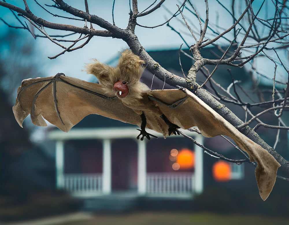 60 CM BAT