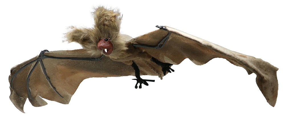 60 CM BAT
