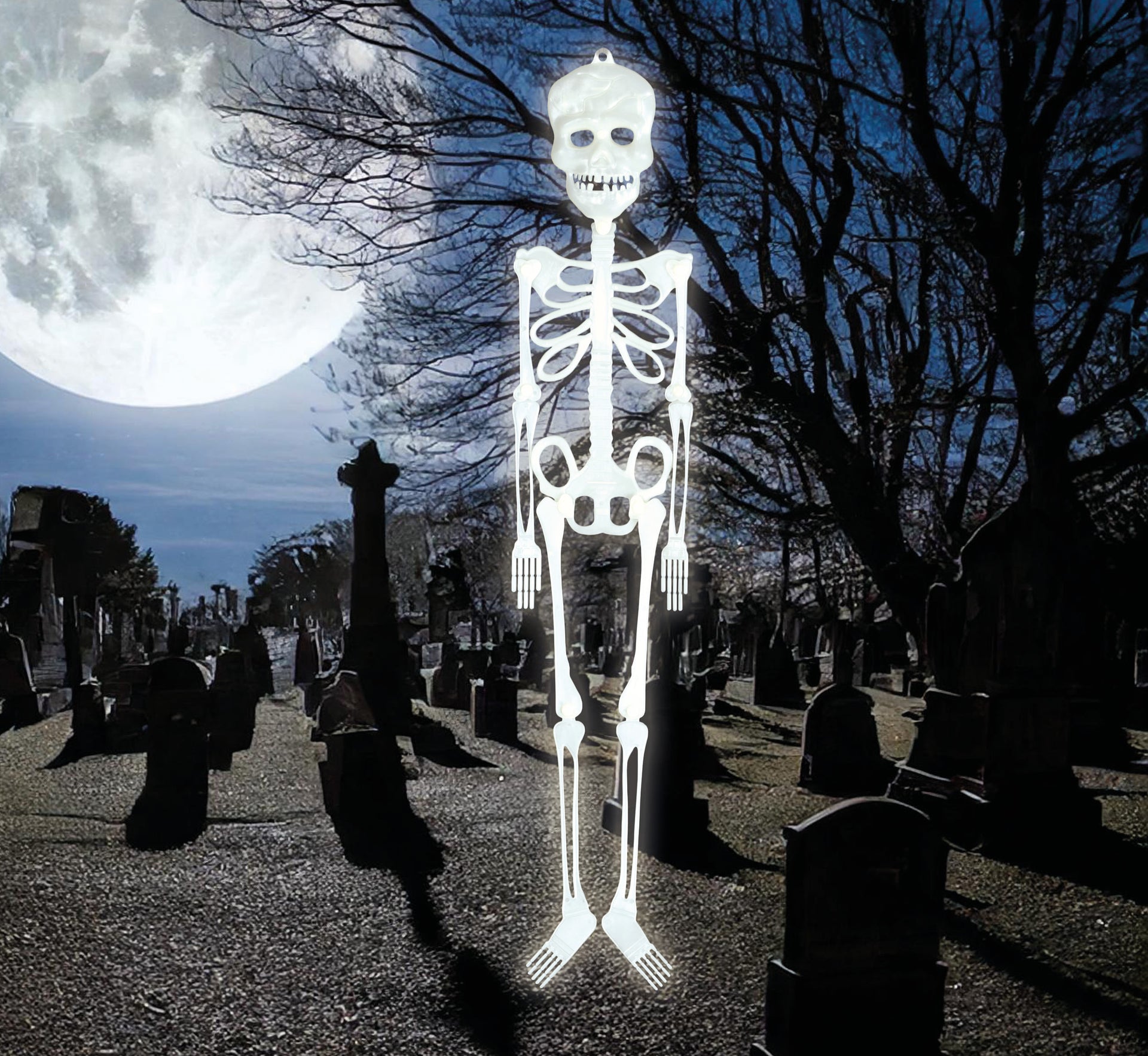 FLUORESCENT SKELETON 75 CM