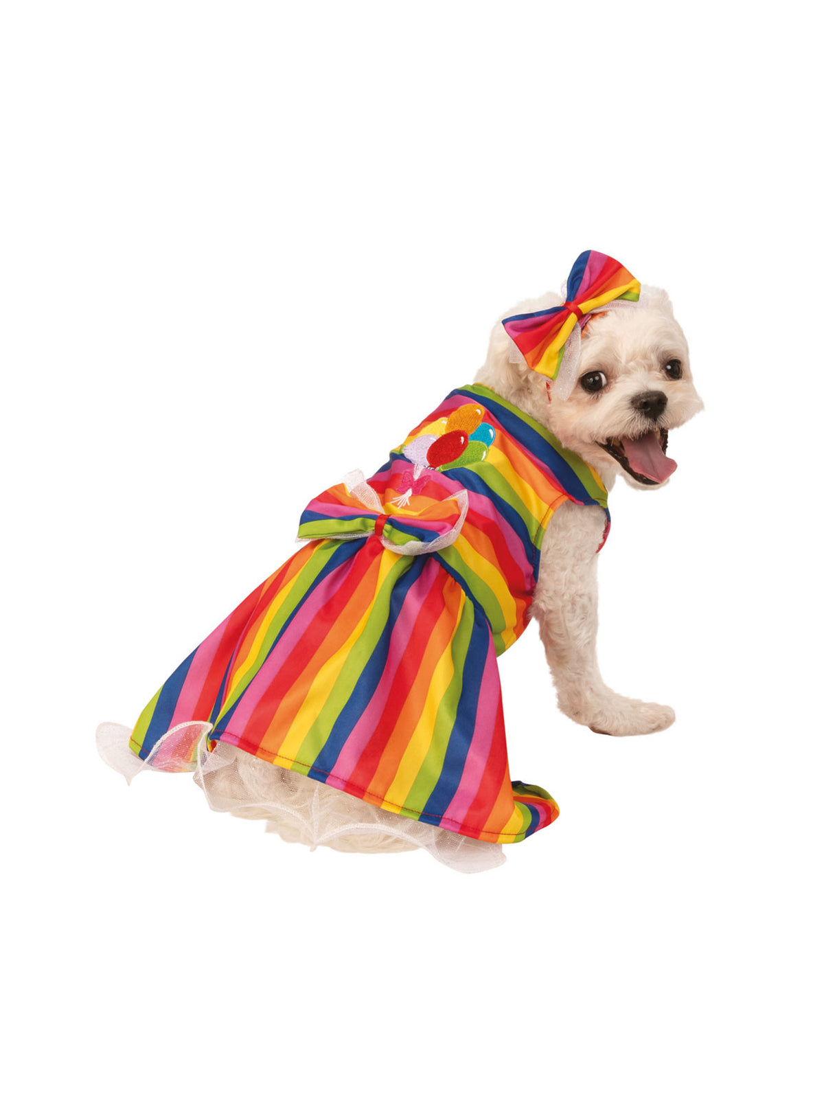 Rainbow Party 1