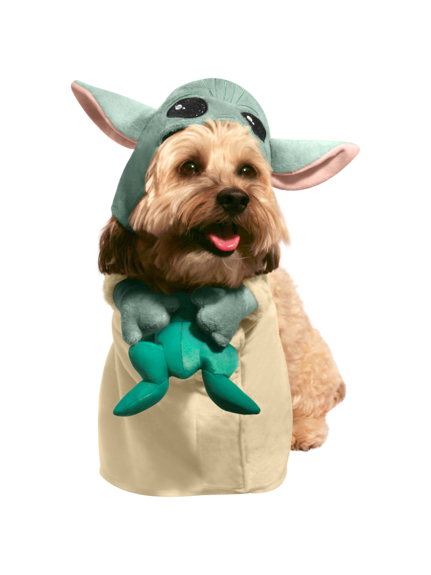The Child Walking Pet Costume