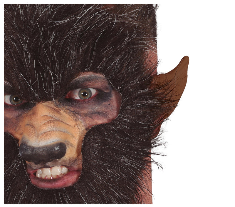 BROWN WEREWOLF EARS LATEX