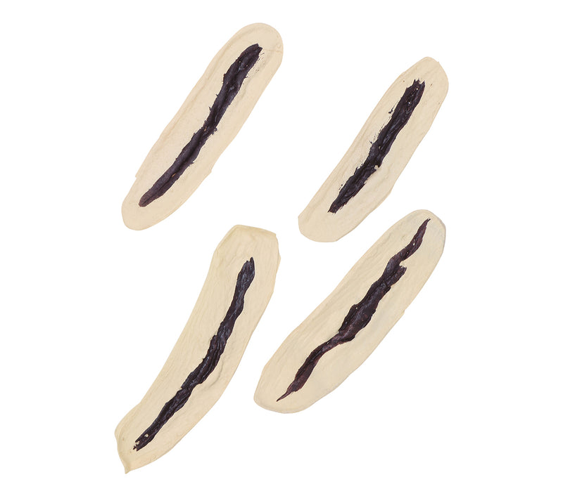 SET 2 LATEX SCARS