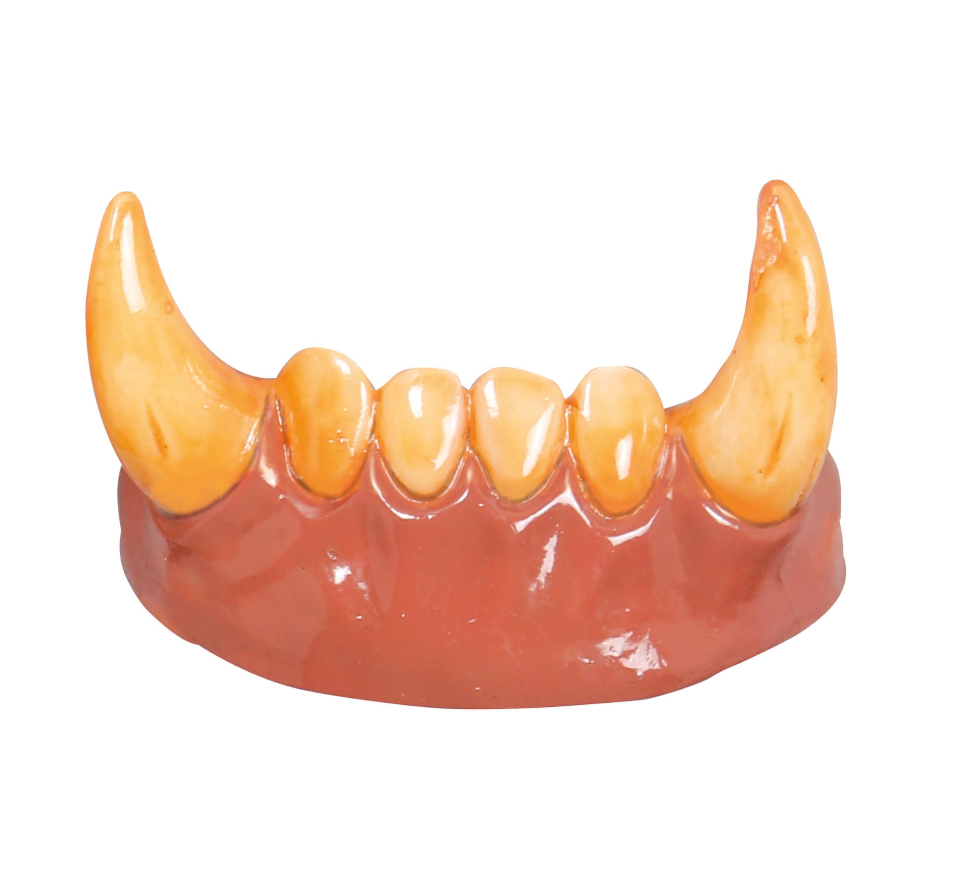 TEETH WITH WOLFMAN FANGS PVC