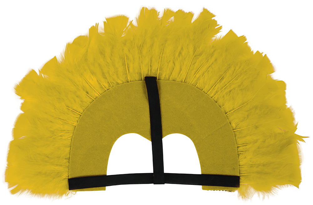 FEATHER HEADPIECE