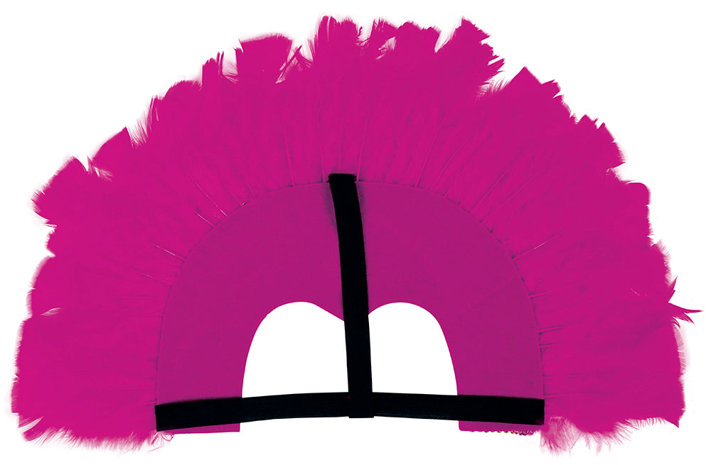 FEATHER HEADPIECE