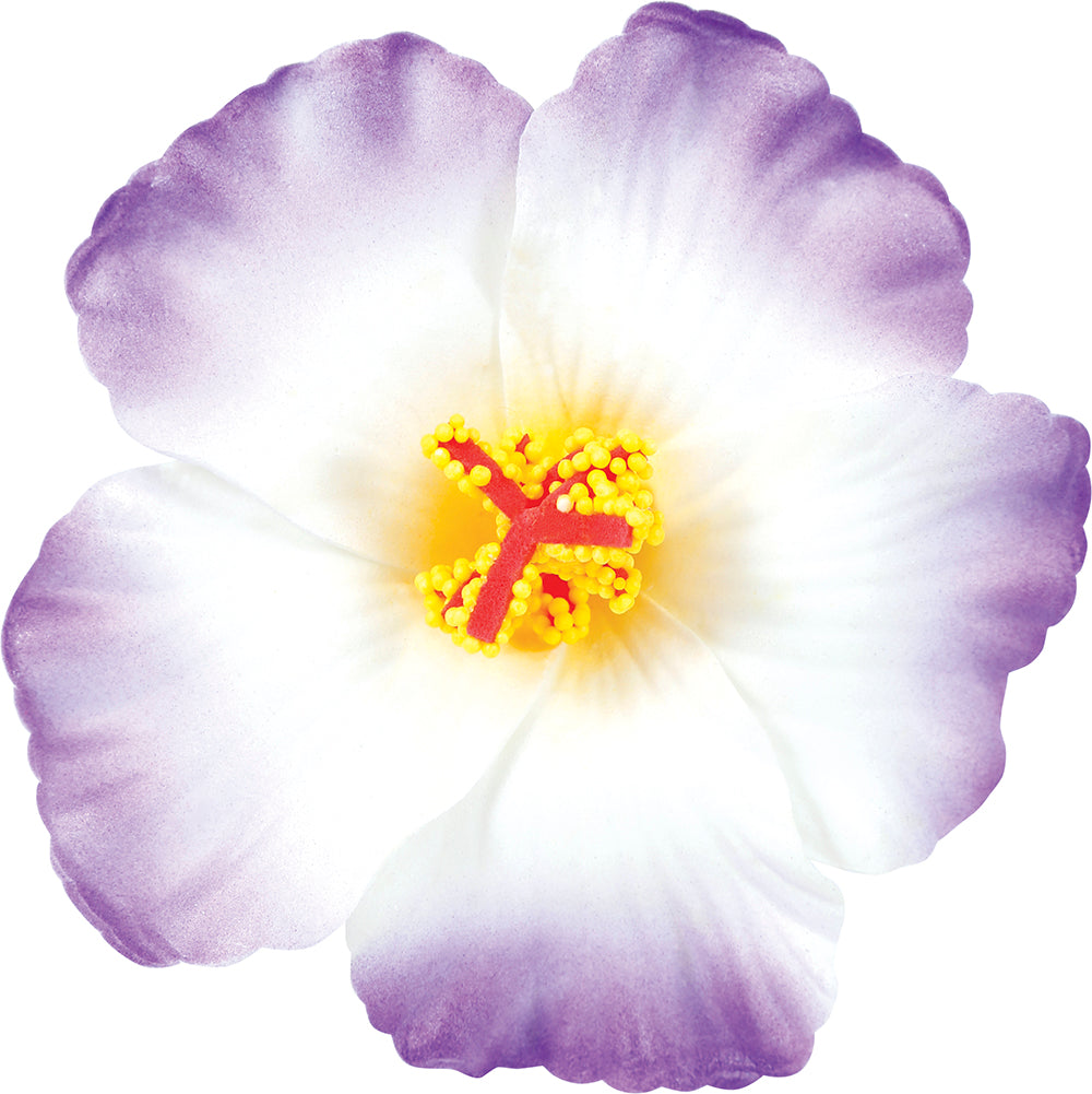BLISTER 3 HQ HAWAIIAN FLOWERS