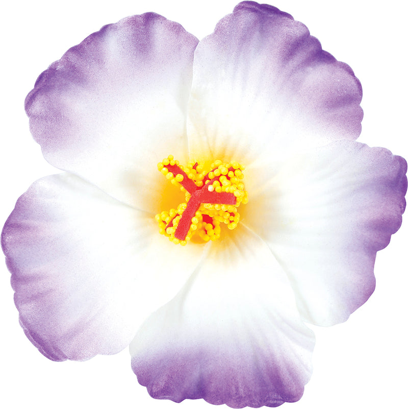 BLISTER 3 HQ HAWAIIAN FLOWERS