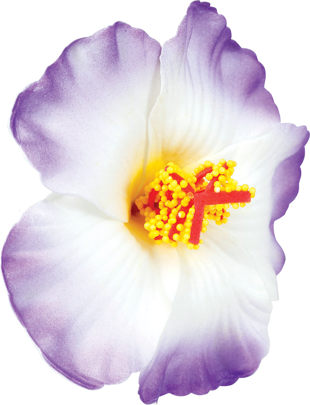 BLISTER 3 HQ HAWAIIAN FLOWERS
