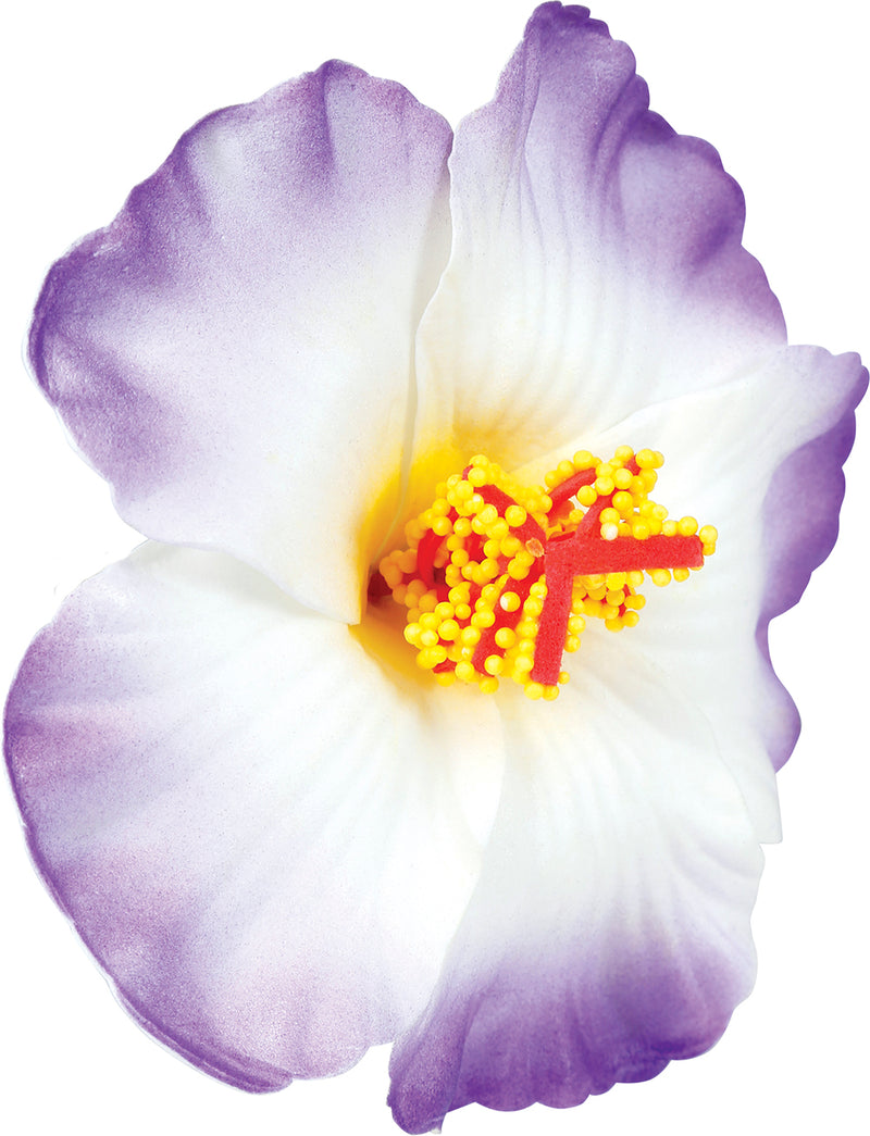 BLISTER 3 HQ HAWAIIAN FLOWERS