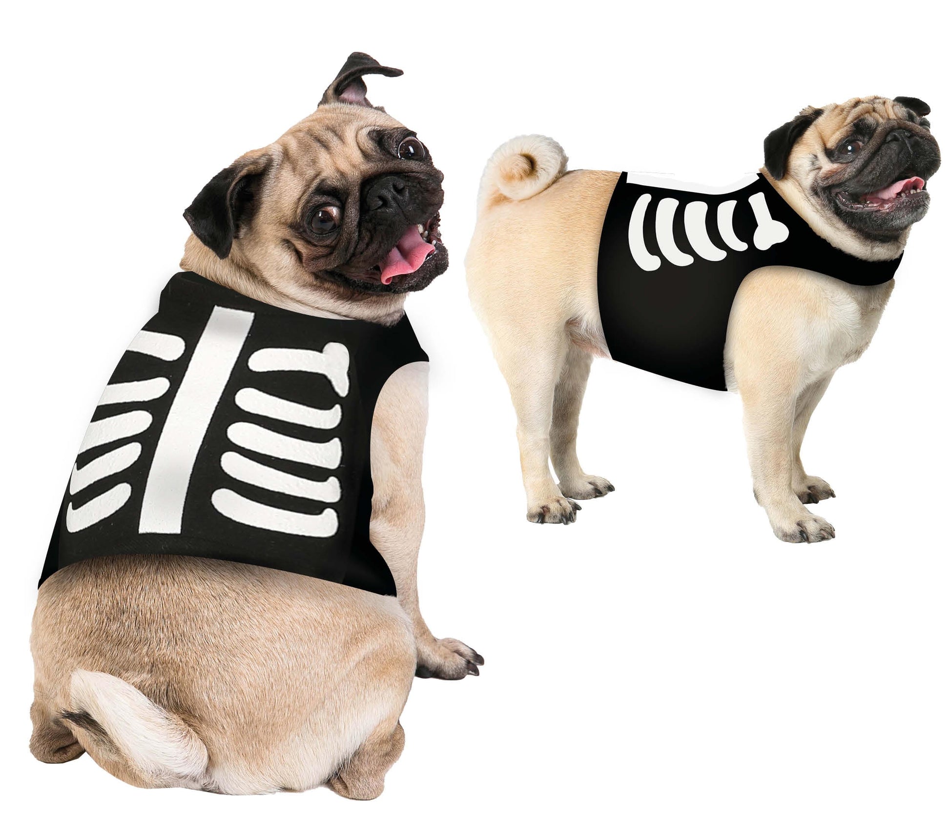 COSTUME SKELETON MASCOT SIZE M