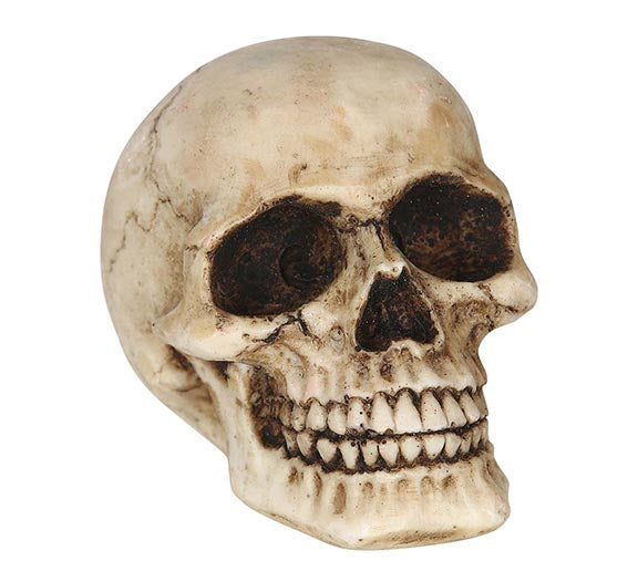 RESIN SKULL 8 CM