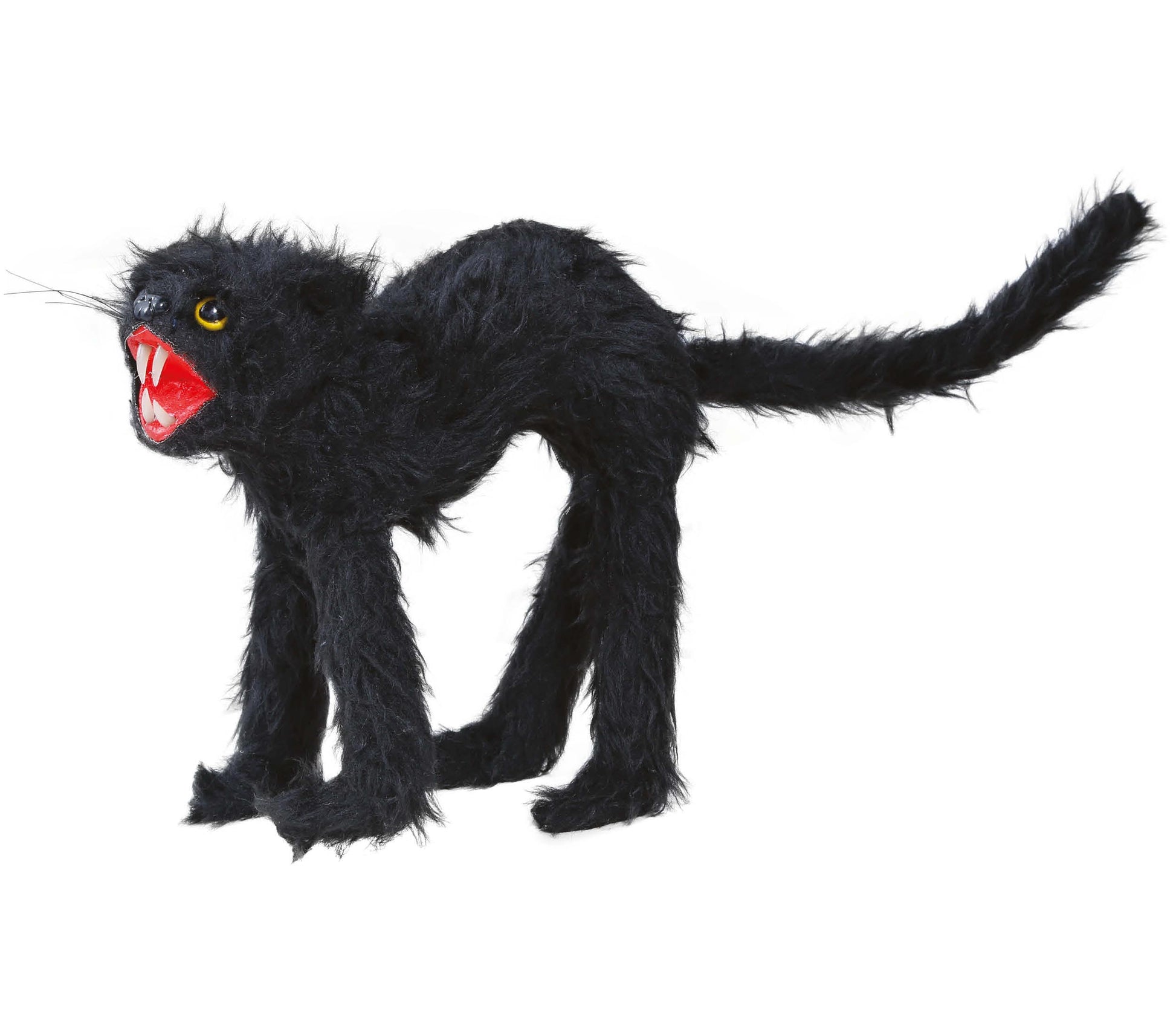 CAT 30 CMS.