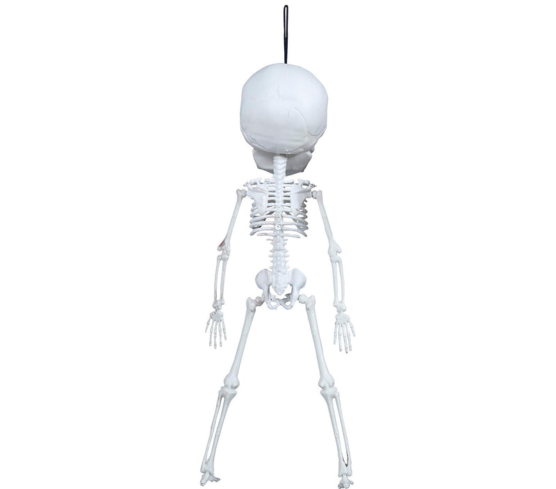 HANGING SKELETON 40 CM