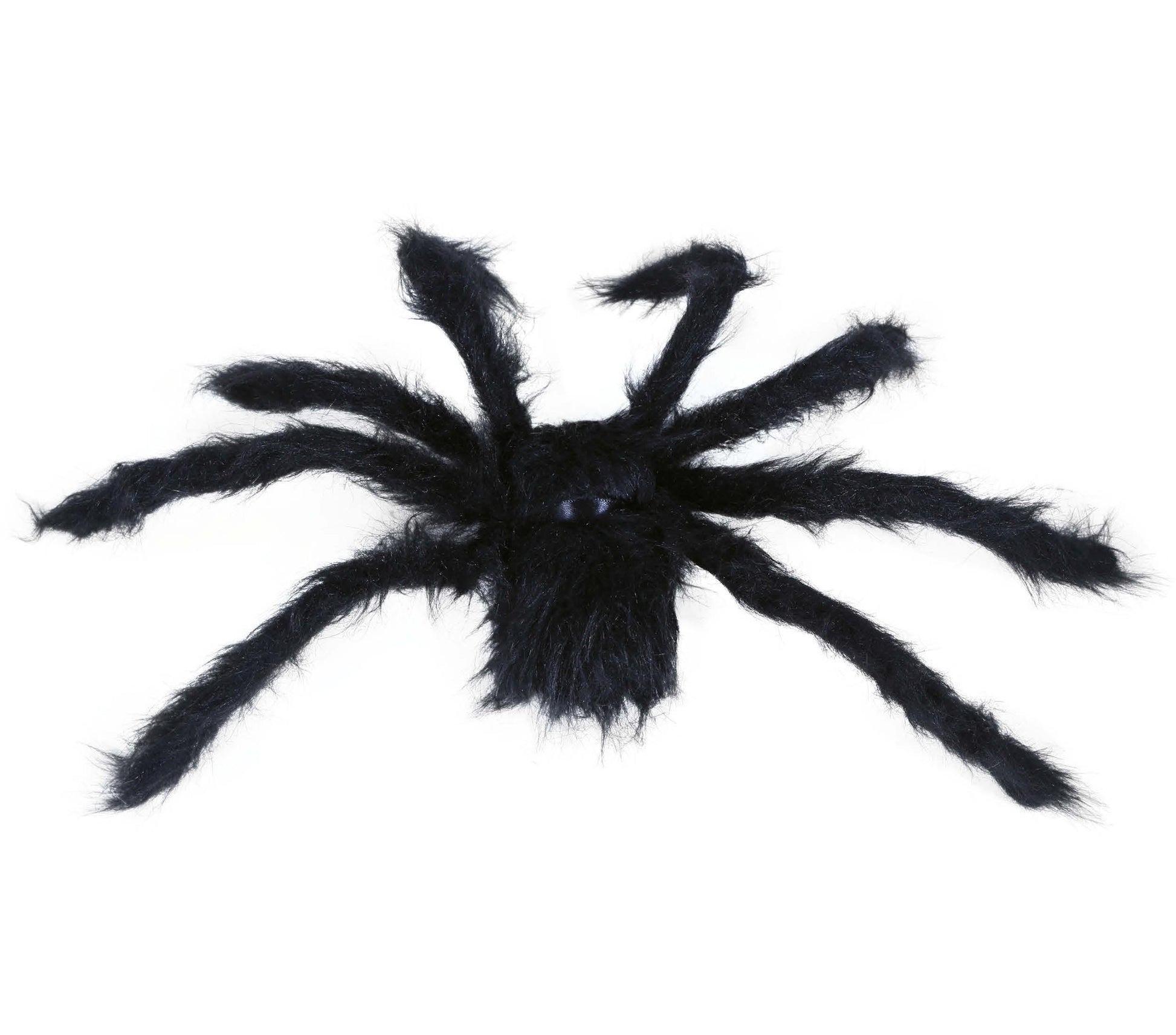 BLACK SPIDER, 50 CMS.