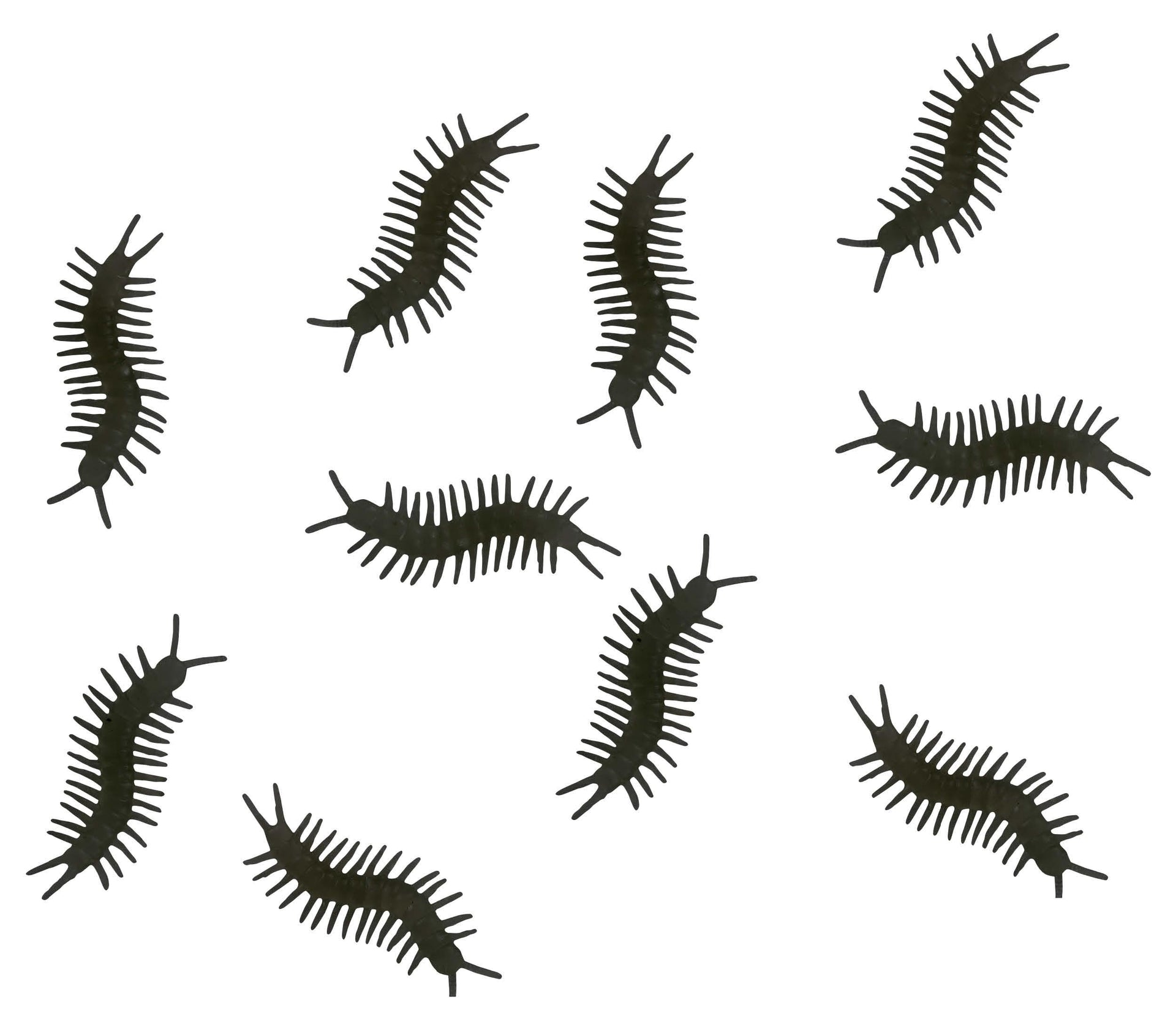 BAG : 10 CENTIPEDES 10 CM