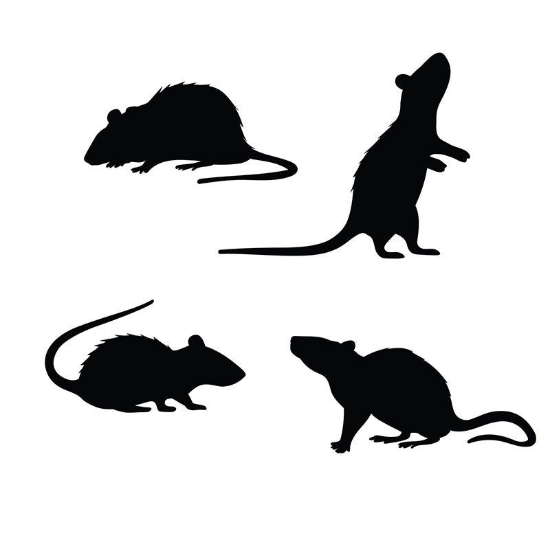 SILHOUETTES 4 BLACK RATS