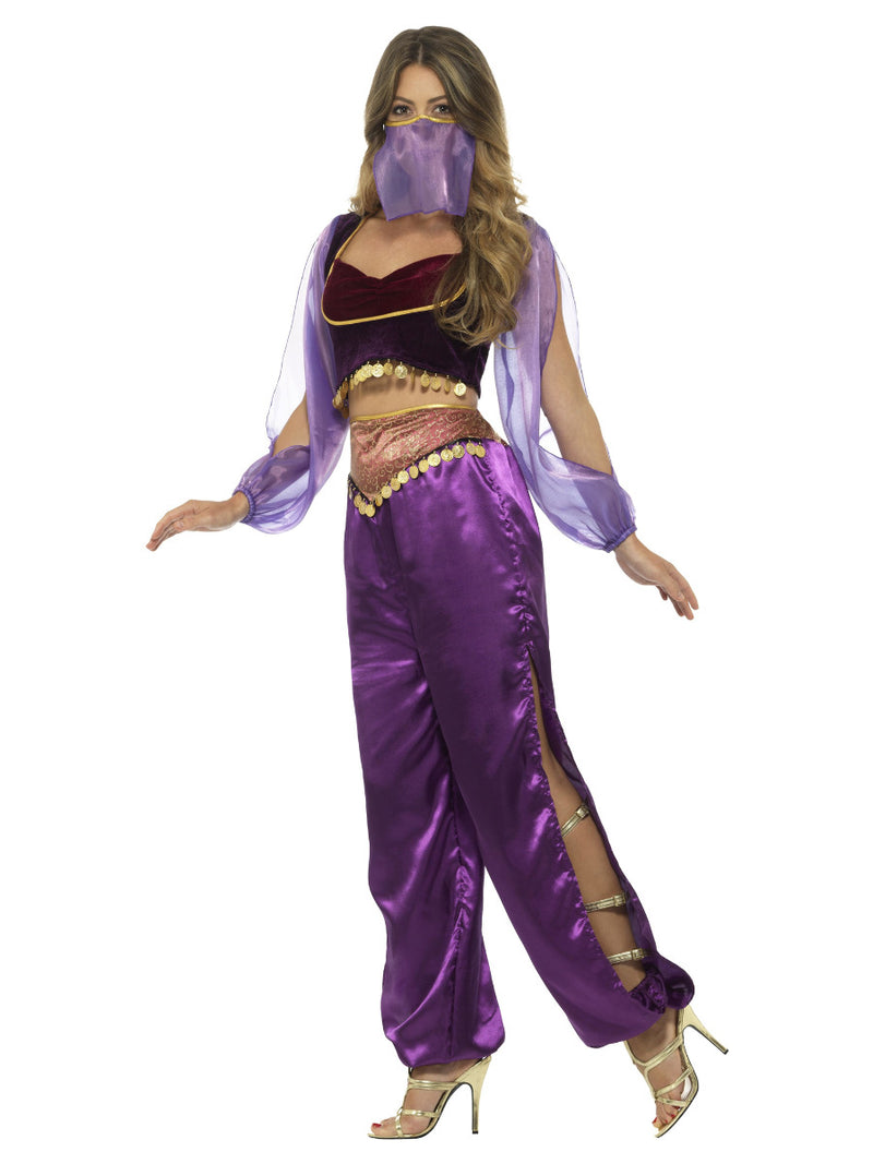 Arabian Princess Costume, Purple - 4