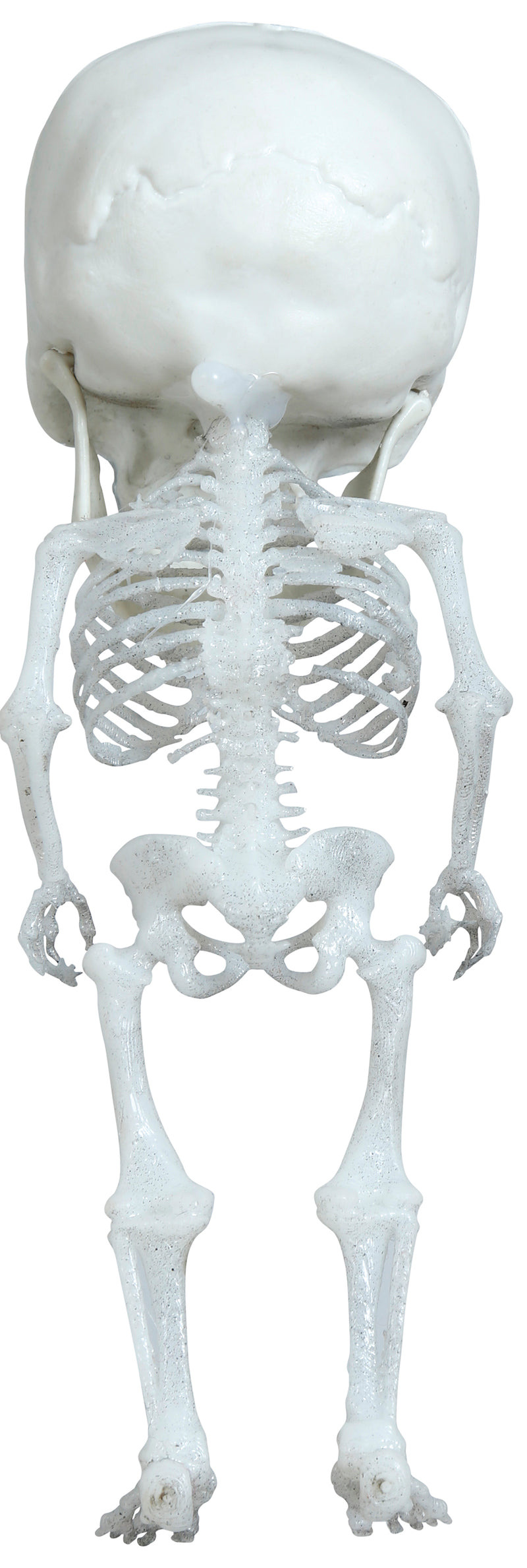 HANGING BIG HEAD SKELETON 15 CM