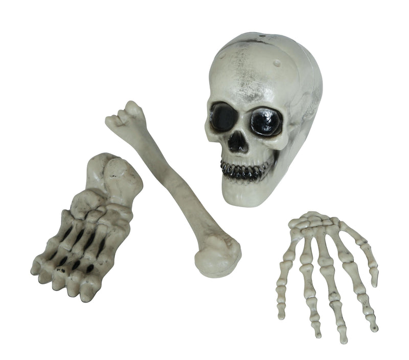 4 PIECE SKELETON BONES SET