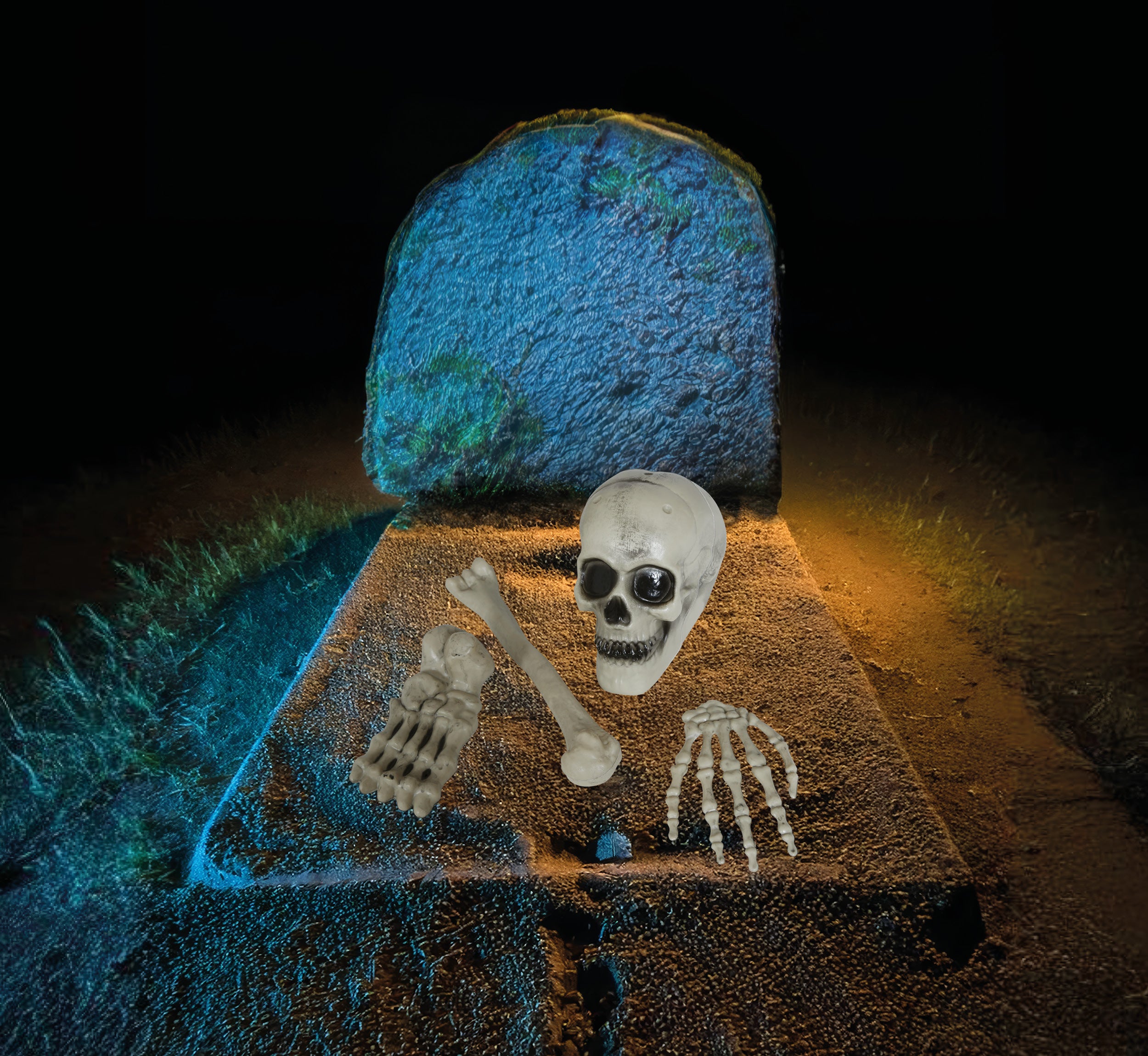 4 PIECE SKELETON BONES SET