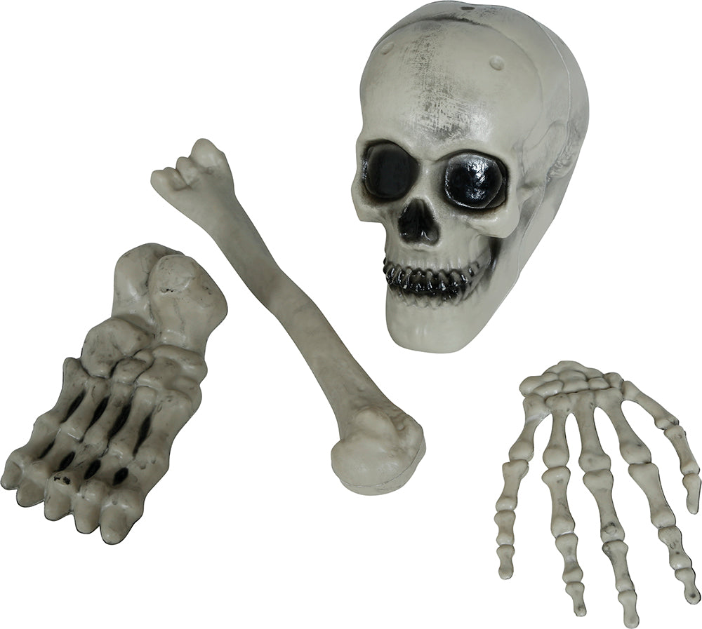 4 PIECE SKELETON BONES SET