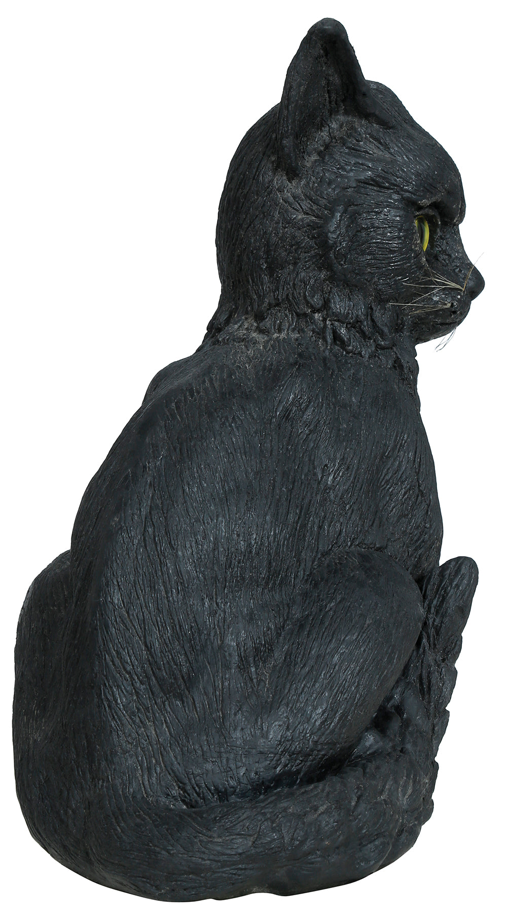 CAT WITH LIGHT AND SOUND, 32 CMS