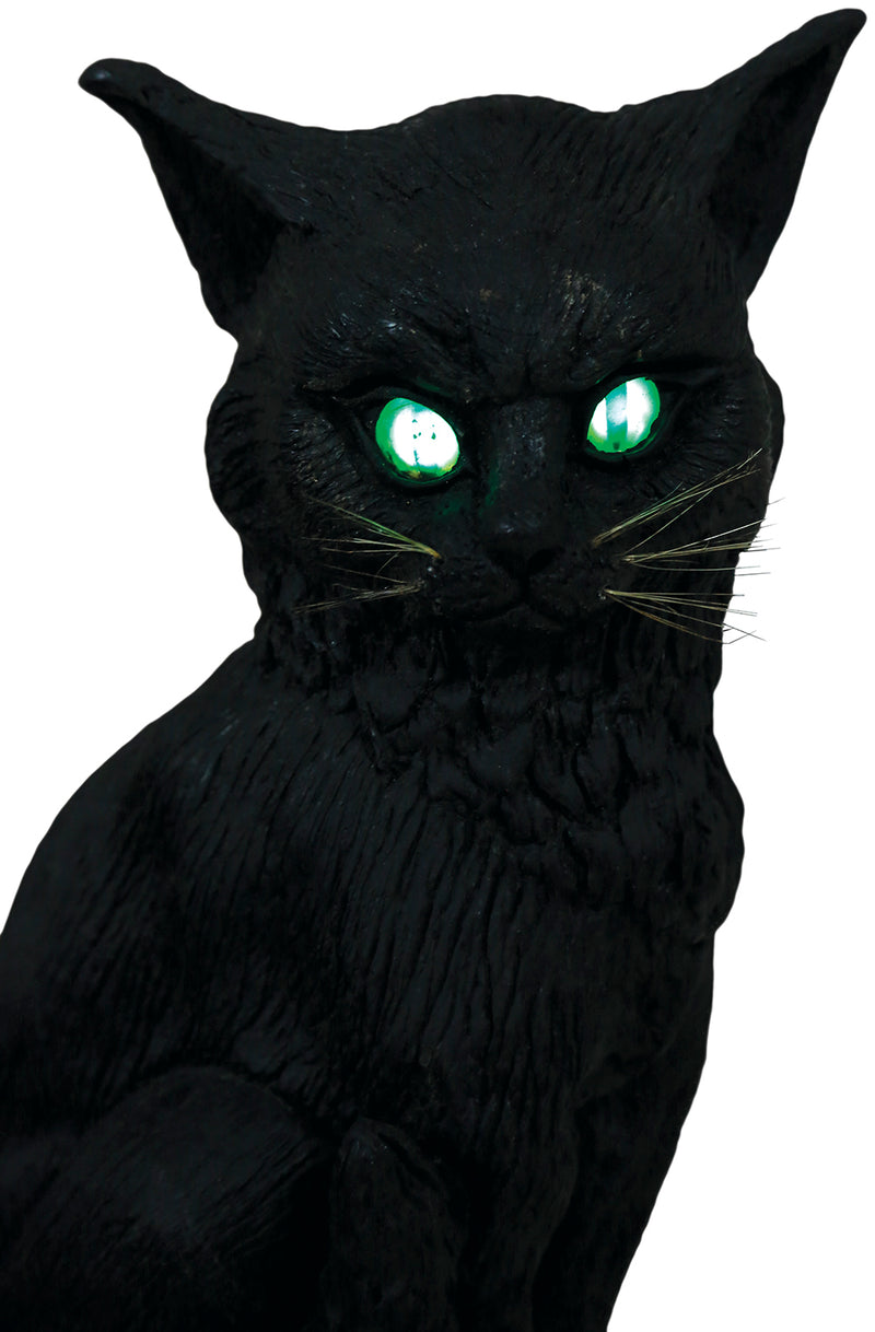 CAT WITH LIGHT AND SOUND, 32 CMS
