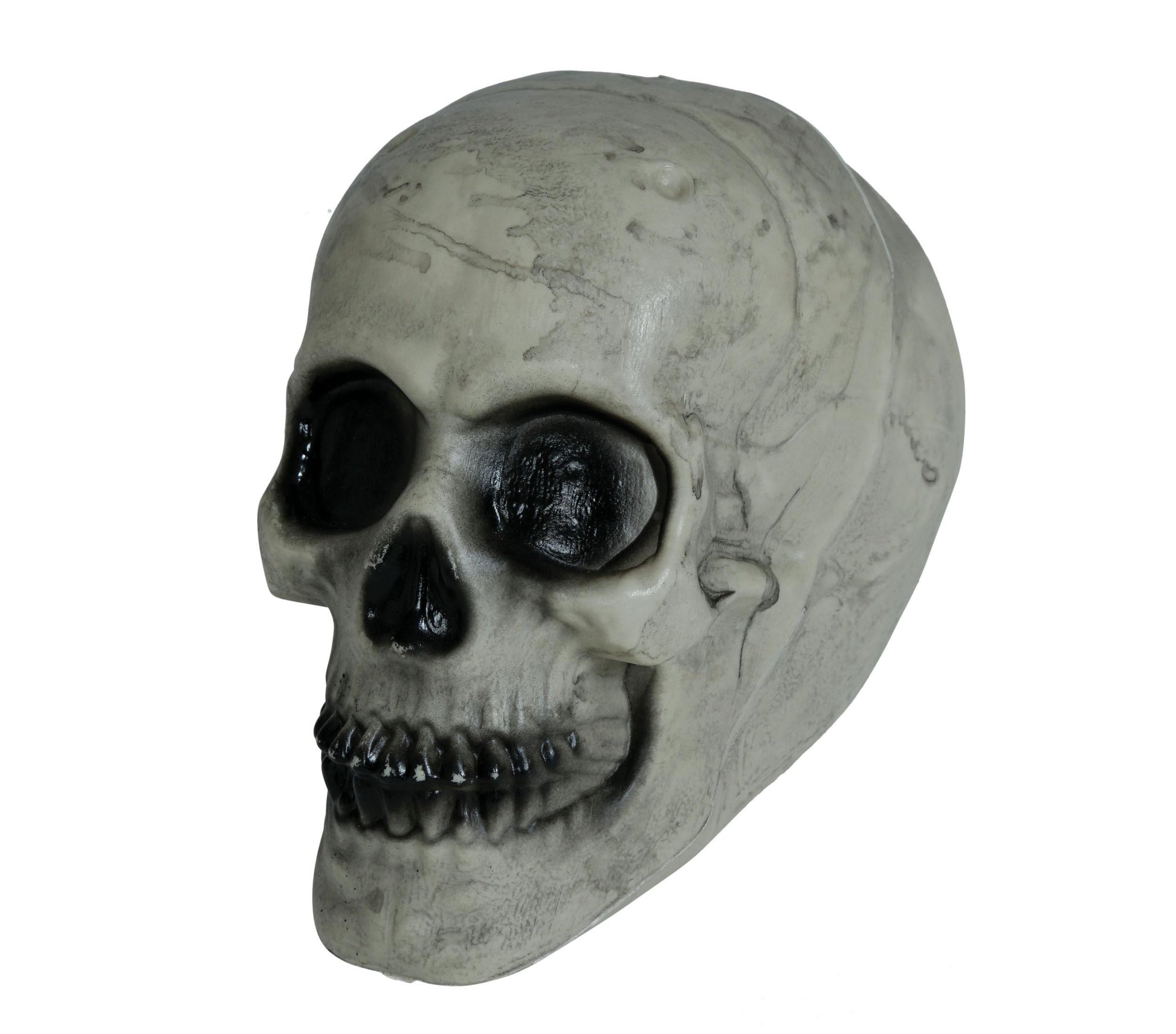 SKULL 20 CMS
