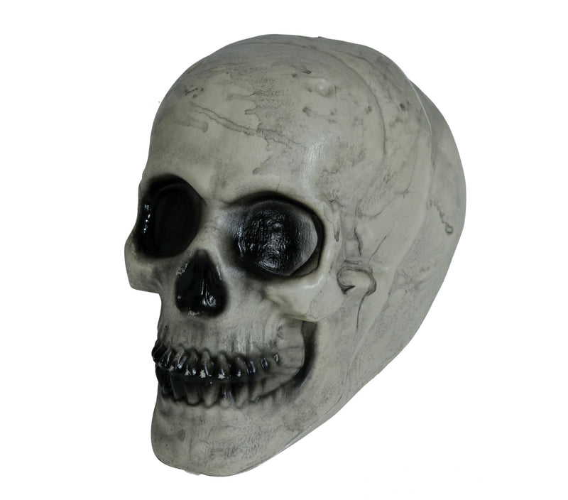 SKULL 20 CMS