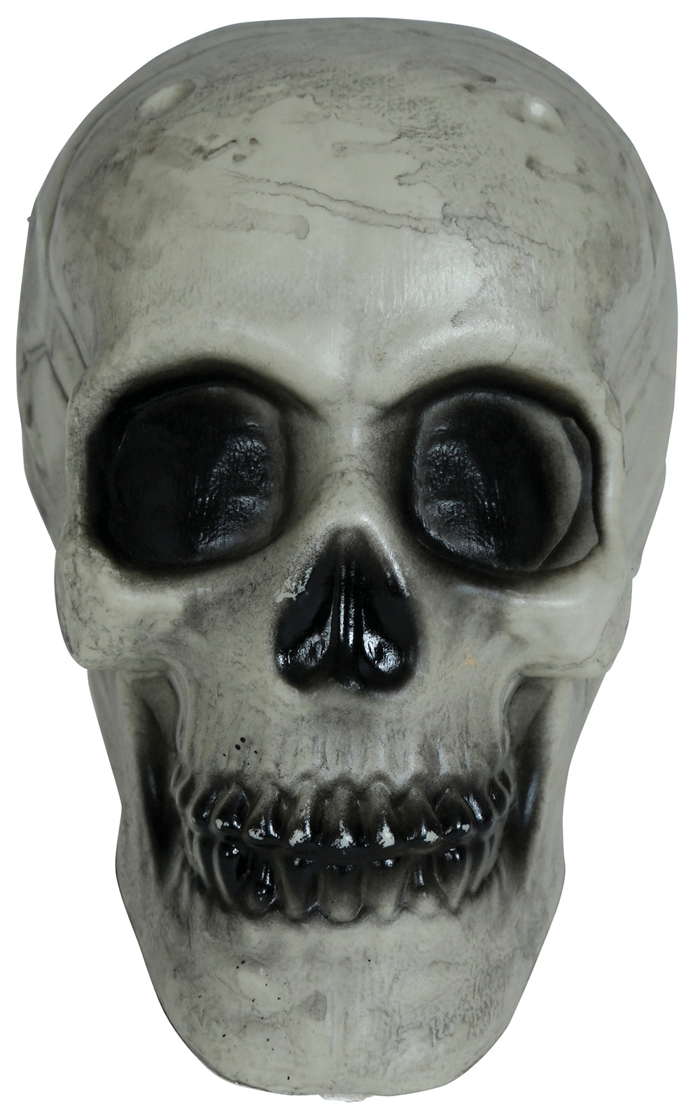 SKULL 20 CMS