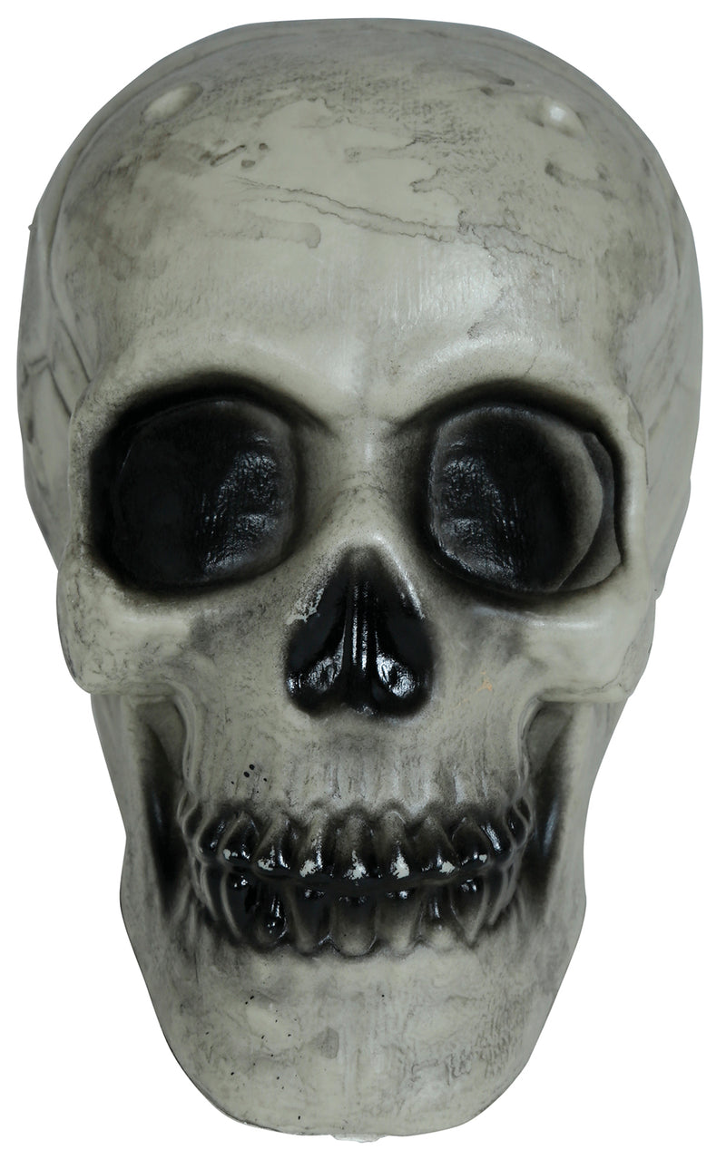 SKULL 20 CMS