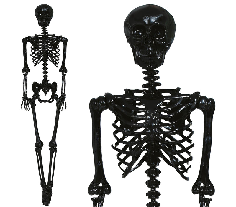SKELETON 160 CM