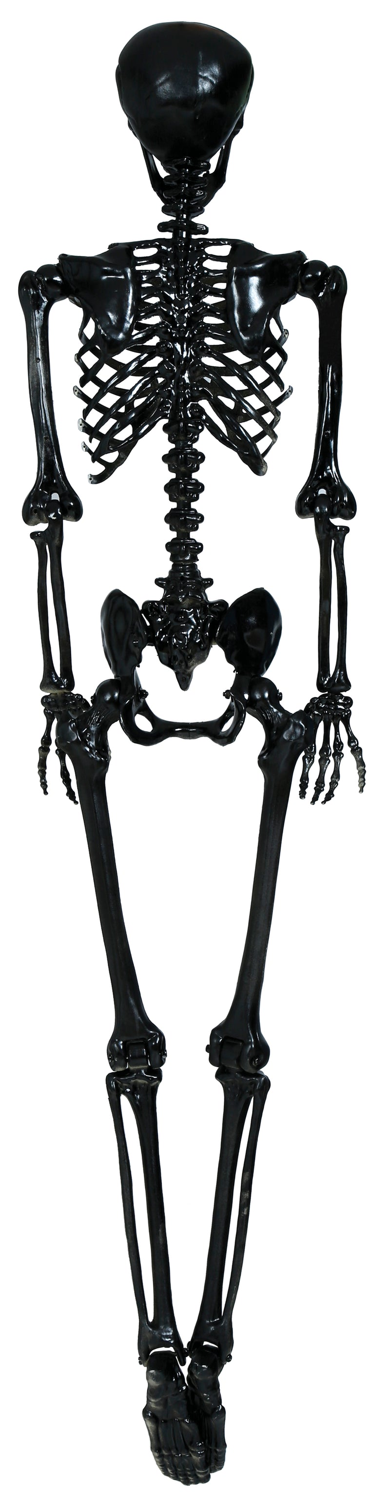 SKELETON 160 CM