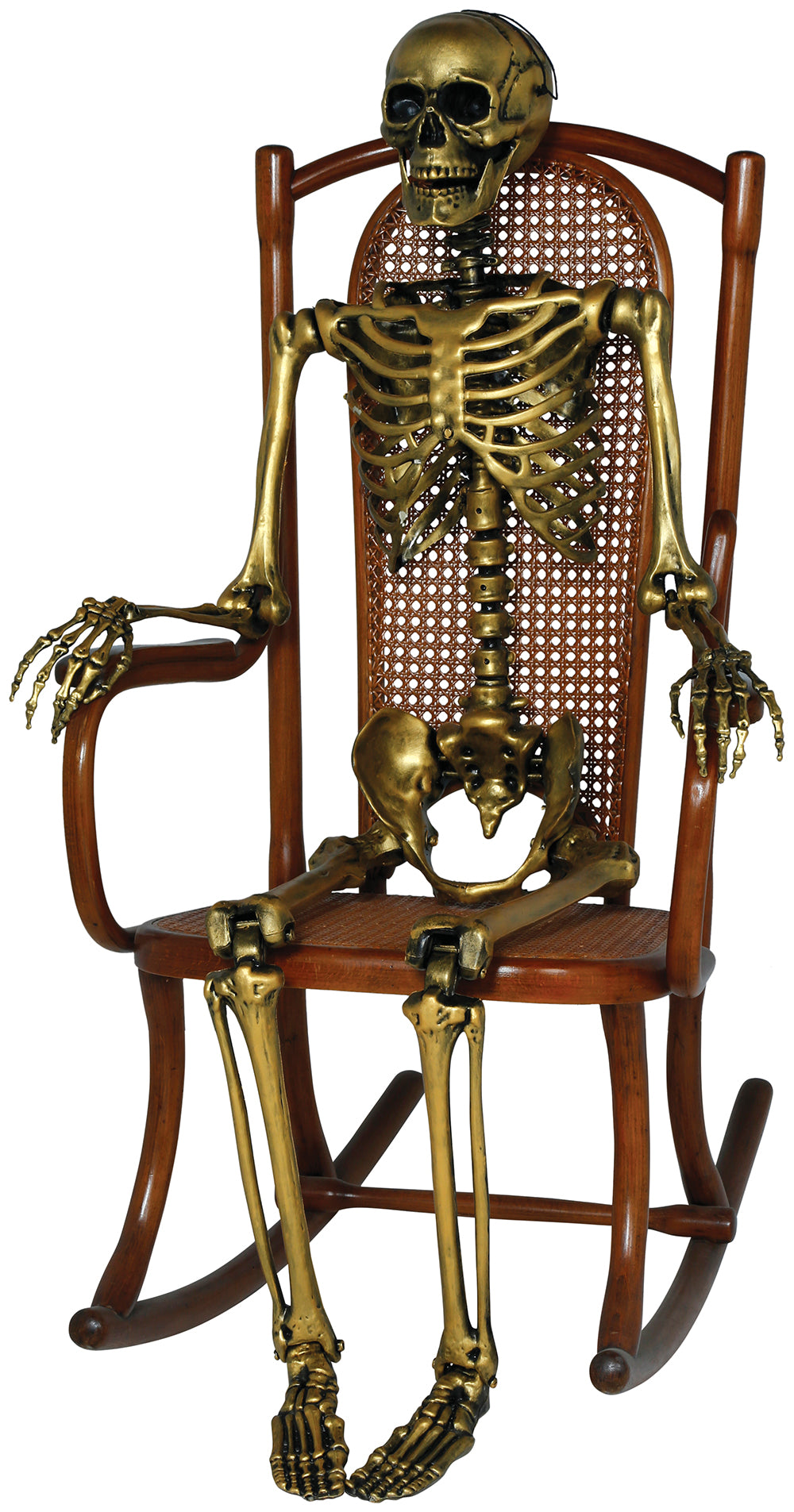 SKELETON 160 CM