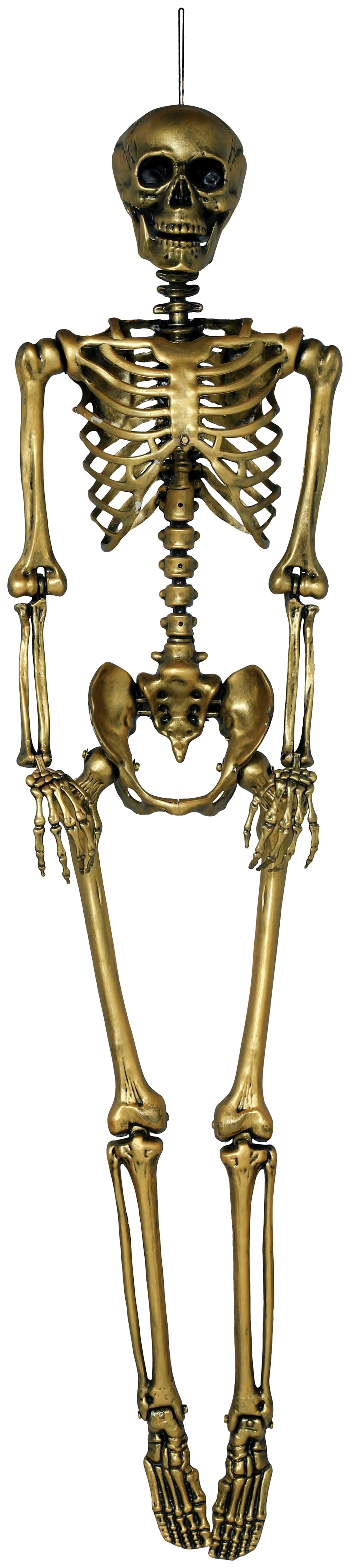SKELETON 160 CM