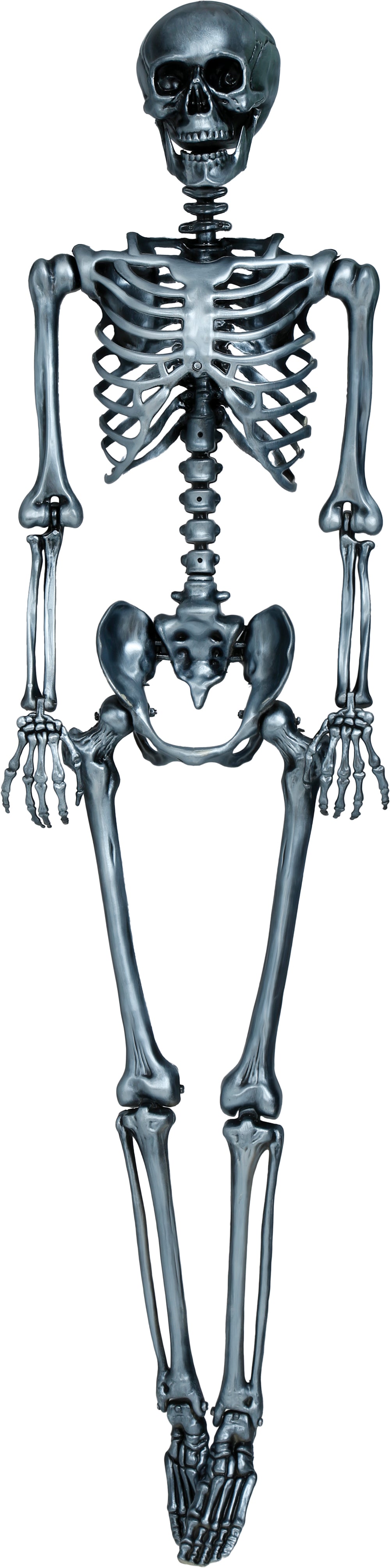 SKELETON 160 CM