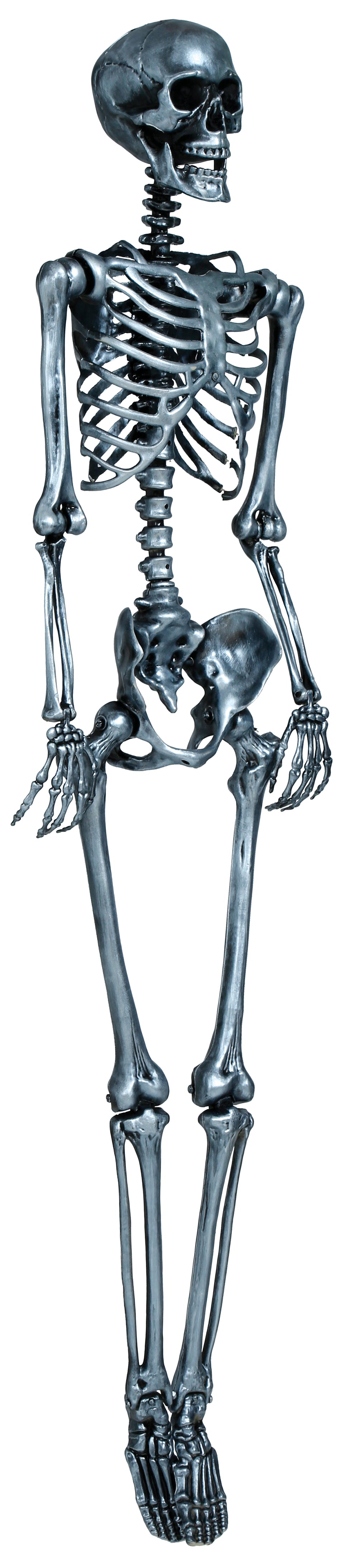 SKELETON 160 CM