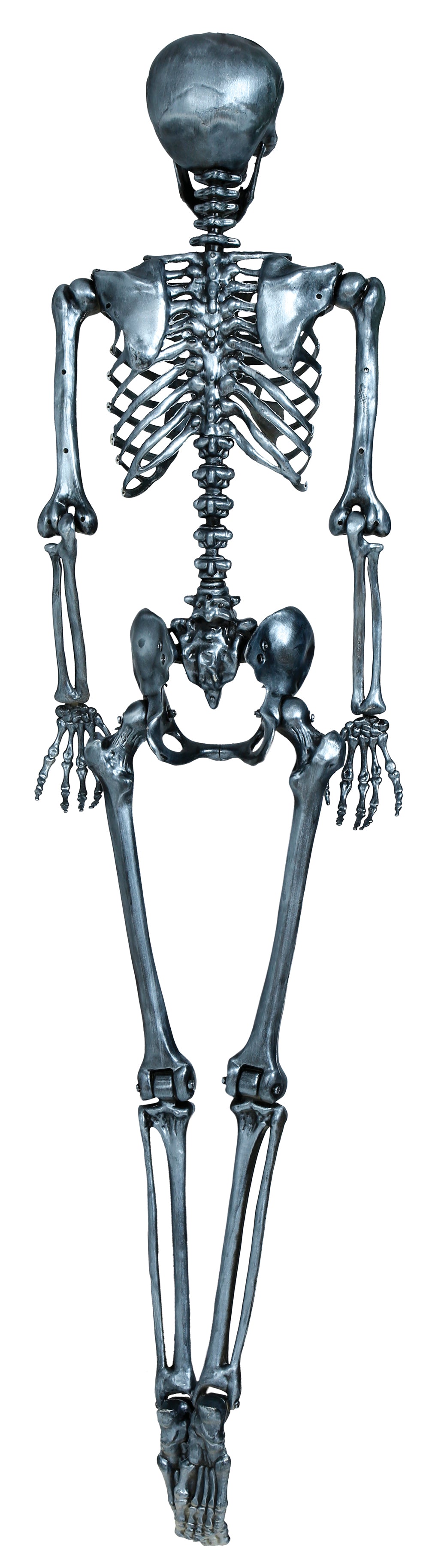 SKELETON 160 CM